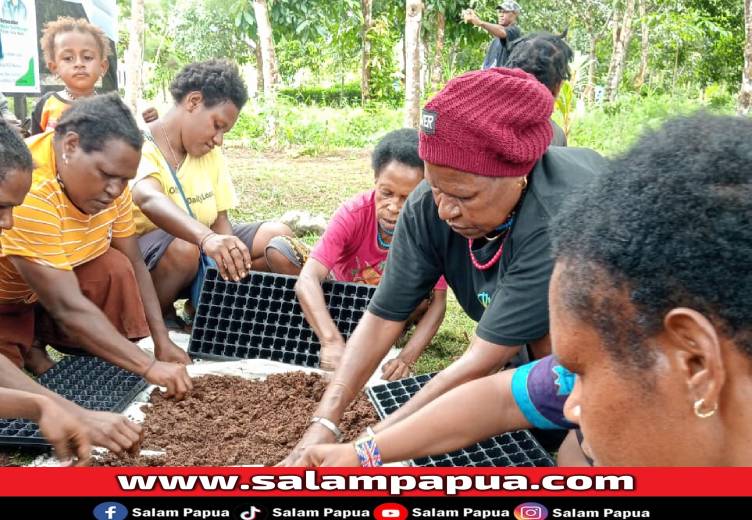 Dorong Kemandirian Pangan Lokal, PKK Papua Tengah Luncurkan Pelatihan Petani Profesional