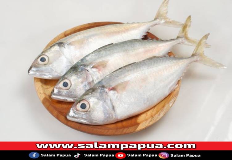 Berikut 11 Pilihan Ikan Tinggi Protein Yang Enak Dan Bernutrisi