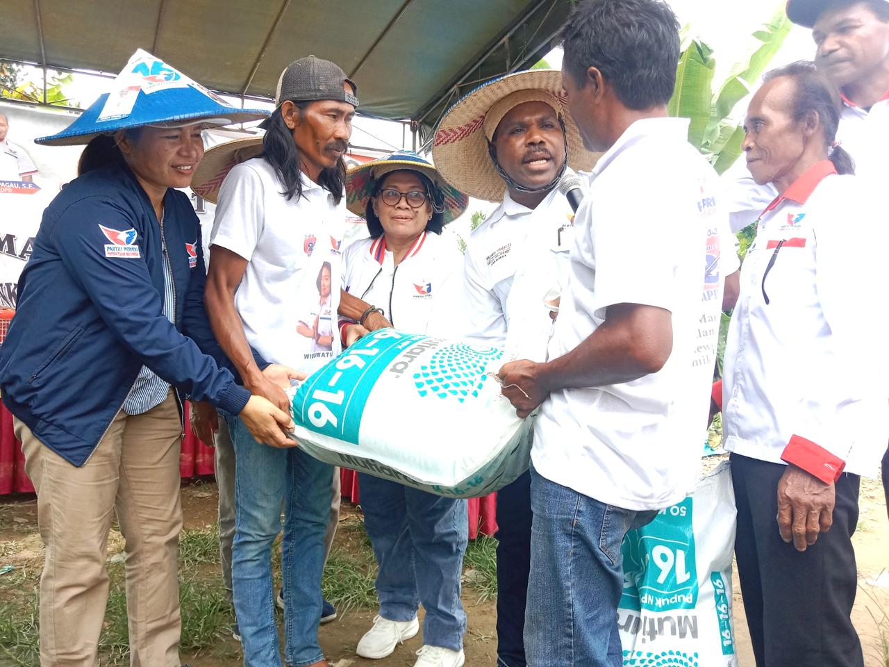 Ketua DPD Perindo Mimika Sambangi Petani Cabai Dan Peternak Lele Binaan Caleg Dapil 1 Widowati, SH