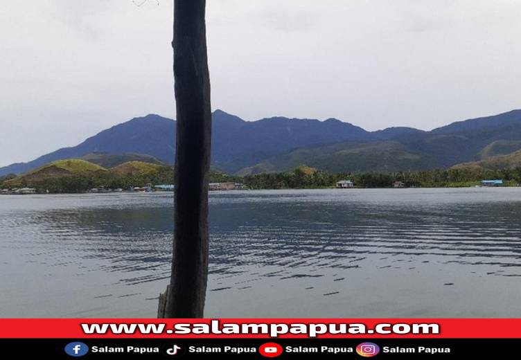 Ini Kayu Dari Papua Yang Tahan Ratusan Tahun Terendam Air