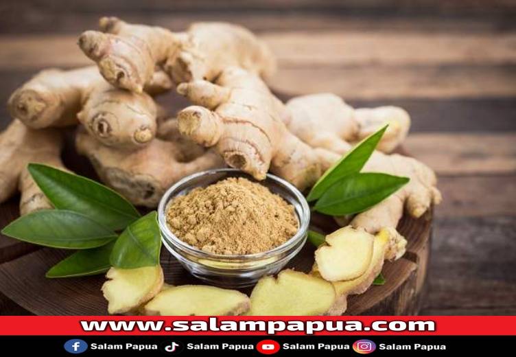 Fakta Seputar Manfaat Jahe Untuk Asam Lambung