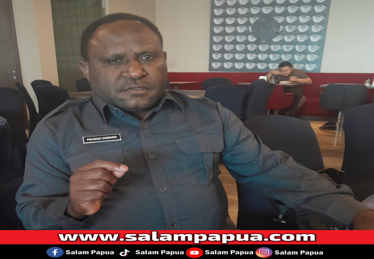 Soal Peresmian Produksi Smelter Freeport, Anggota DPR Papua Tengah Katakan Kekecewaannya