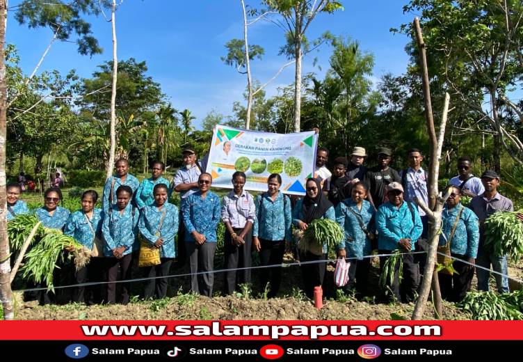 Panen Kangkung Di Nabire, Dorong Kemandirian Pangan Papua Tengah
