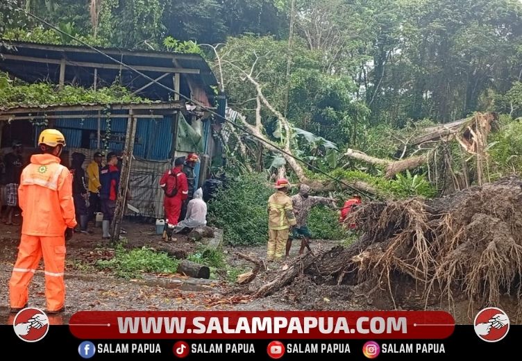 Tim Cepat Tanggap BPBD Mimika Evakuasi Pohon Yang Menimpa Rumah Warga Di Km 6