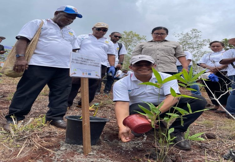 Selamatkan Cagar Alam Pegunungan Cycloop Papua, Freeport Beri 20.000 Bibit Bambu