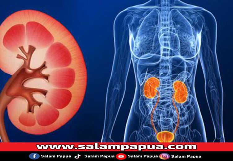 Mengenali Gejala Awal Gagal Ginjal: Waspadai Sebelum Terlambat