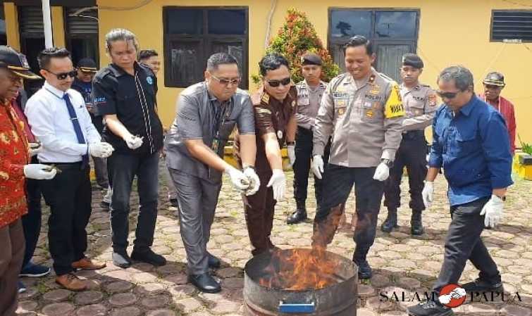 POLISI MUSNAHKAN 241,2 GRAM GANJA, REMAJA PUTUS SEKOLAH DI TIMIKA JADI TARGET PELAKU