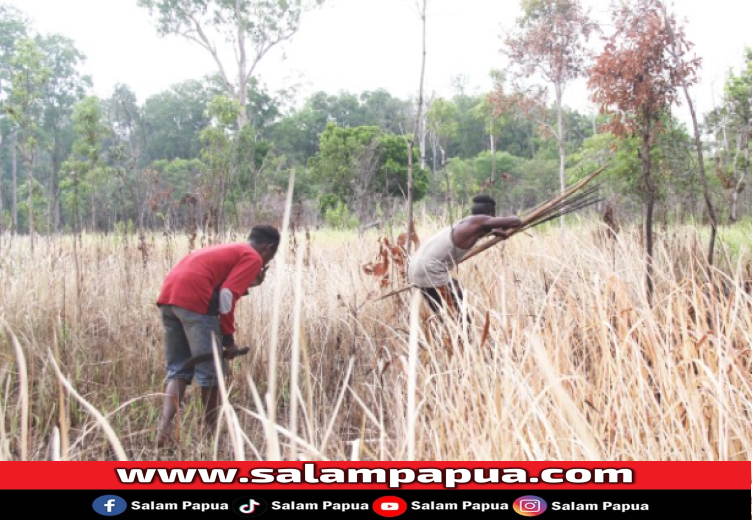 Menilik Tradisi Berburu Suku Marind Kanume Di Merauke