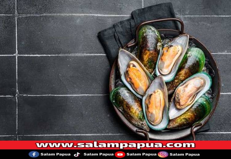 6 Manfaat Kerang Hijau Yang Perlu Diketahui