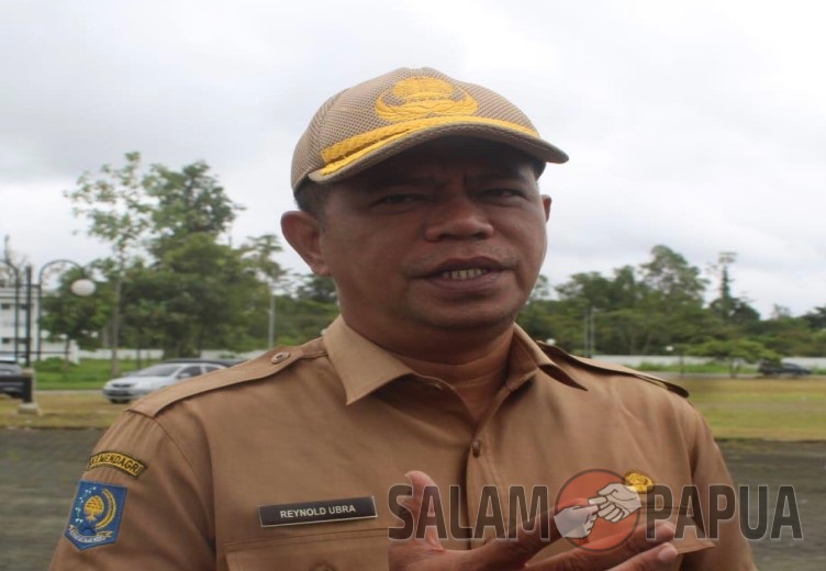 DI MIMIKA DALAM 2 MINGGU TERAKHIR DITEMUKAN 3 KASUS DBD SETIAP HARI