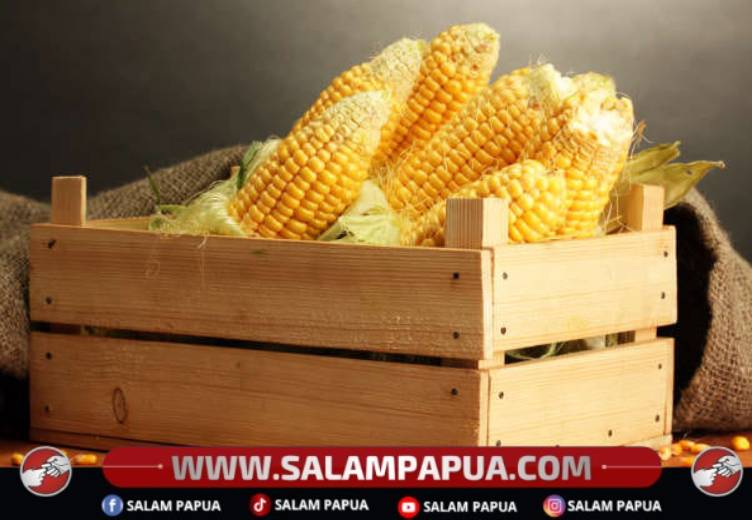 Inilah Manfaat Jagung Yang Luar Biasa