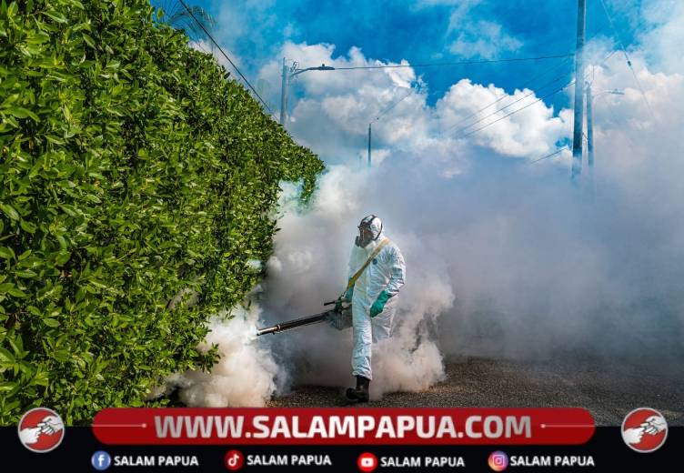 Fogging Dilakukan Sore Hingga Malam, Kadinkes Mimika: Sesuai SOP Pengendalian Nyamuk Malaria