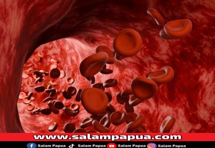 5 Cara Melancarkan Peredaran Darah Yang Efektif
