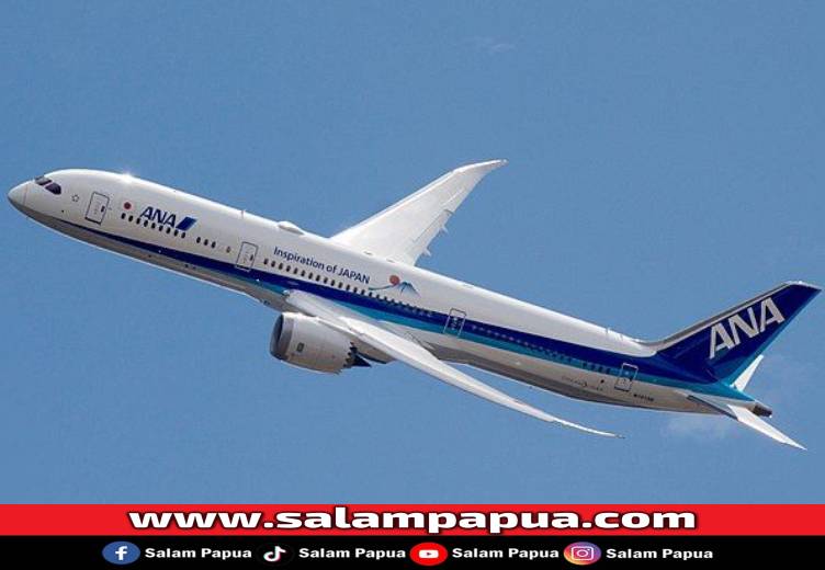 Boeing 787 Dreamliner (Inilah.com)