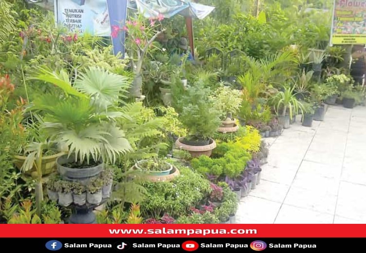 4 Cara Memanfaatkan Lahan Sempit Kota Untuk Berkebun