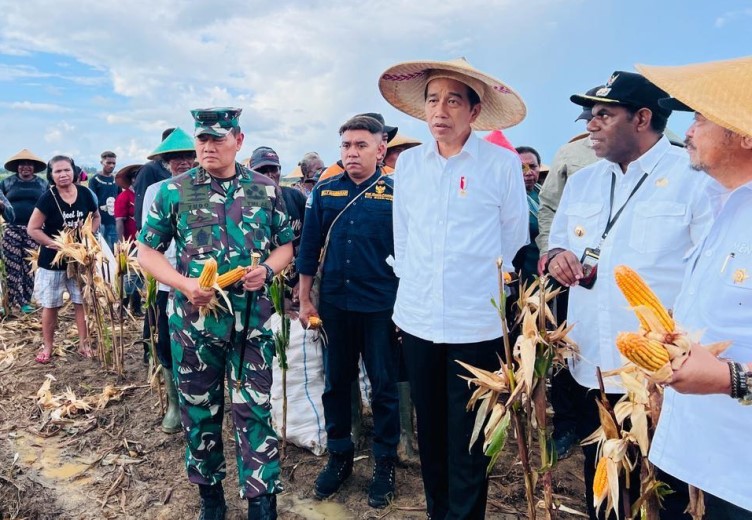 PRESIDEN JOKOWI TINJAU LADANG JAGUNG DI KABUPATEN KEEROM