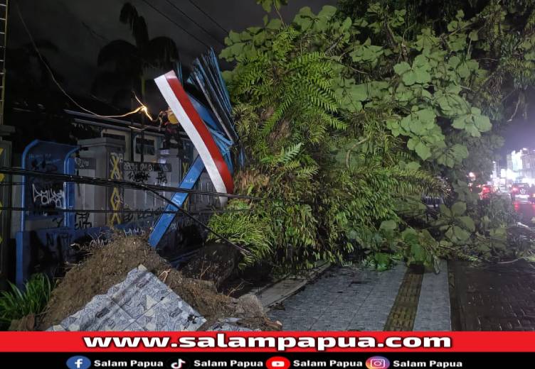 Halte Dan Kios Warga Di Budi Utomo Timika Hancur Tertimpa Pohon Tumbang