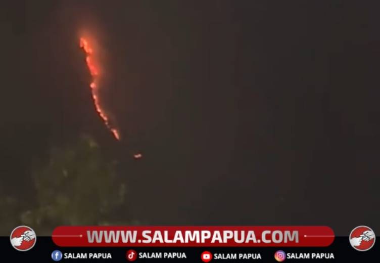 Api Kebakaran Bukit Di Tembagapura Padam Sendiri, Aparat Tetap Siaga Antisipasi Kebakaran Susulan