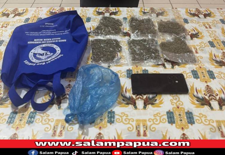 Pengedar Ganja Berusia 24 Tahun Dibekuk Polisi Di Sentani