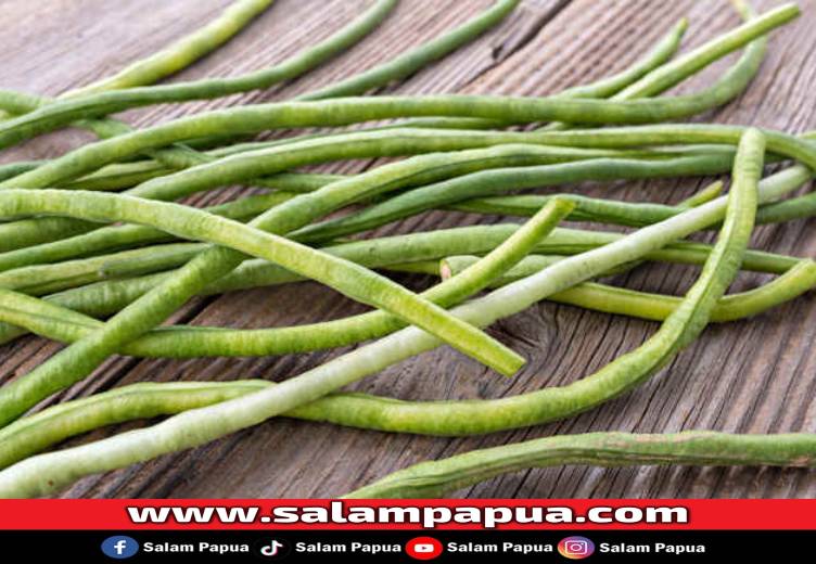 4 Manfaat Kacang Panjang Bagi Kesehatan