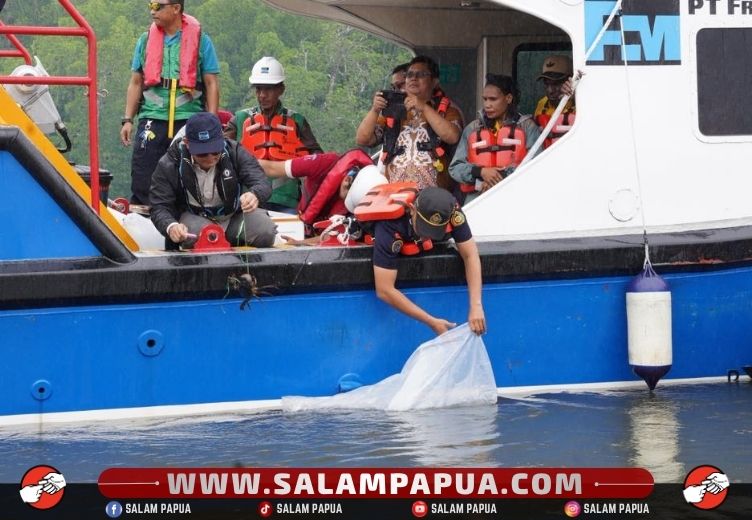 Dukung Keberlanjutan Ekosistem Pesisir Mimika, Freeport Lepas 10.000 Bibit Baramundi Dan 1.000 Kepiting Bakau