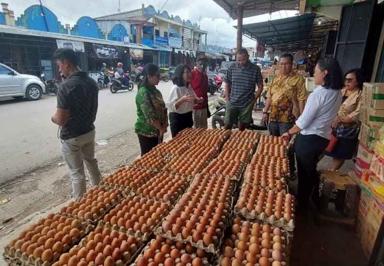 Disnak Dan Keswan Mimika Promosikan Telur Ayam Lokal Timika Ke Wamena