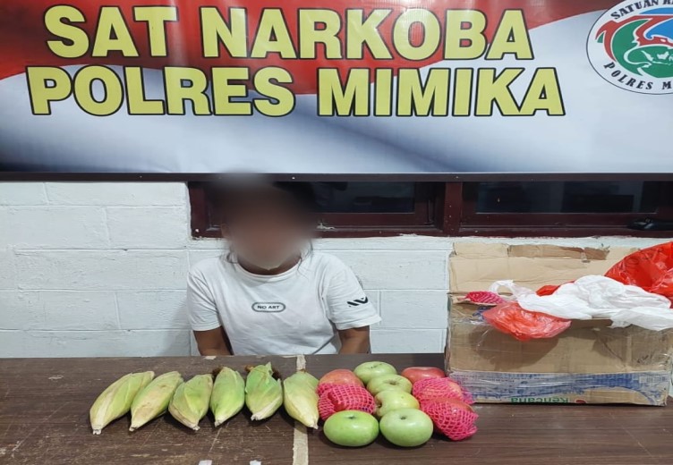 POLISI AMANKAN 4 PENGEDAR NARKOBA DI TIMIKA, SEORANG PEREMPUAN SELUDUPKAN NARKOBA DI DALAM JAGUNG DAN APEL