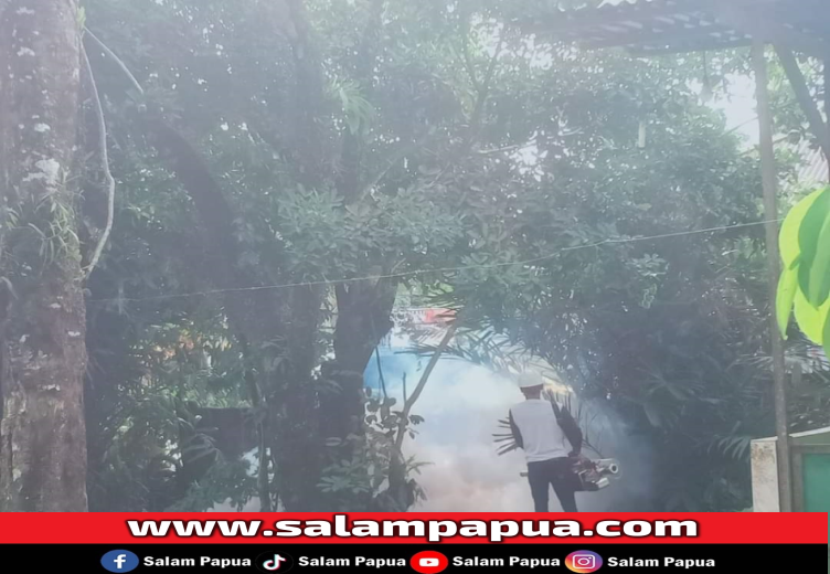 Usai Musim Penghujan, Dinkes Mimika Akan Fogging Di Semua Wilayah