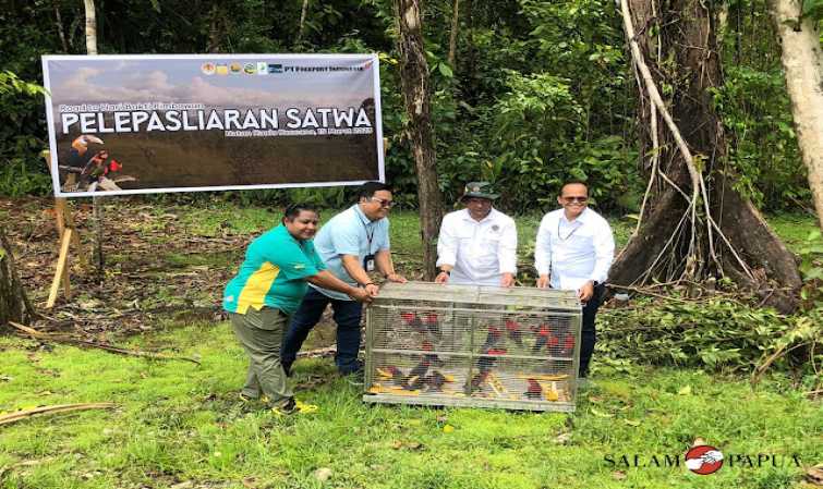 MEMPERINGATI HARI BAKTI RIMBAWAN KE-40, BBKSDA PAPUA BERSAMA PTFI MELEPASLIARKAN 20 SATWA ENDEMIK