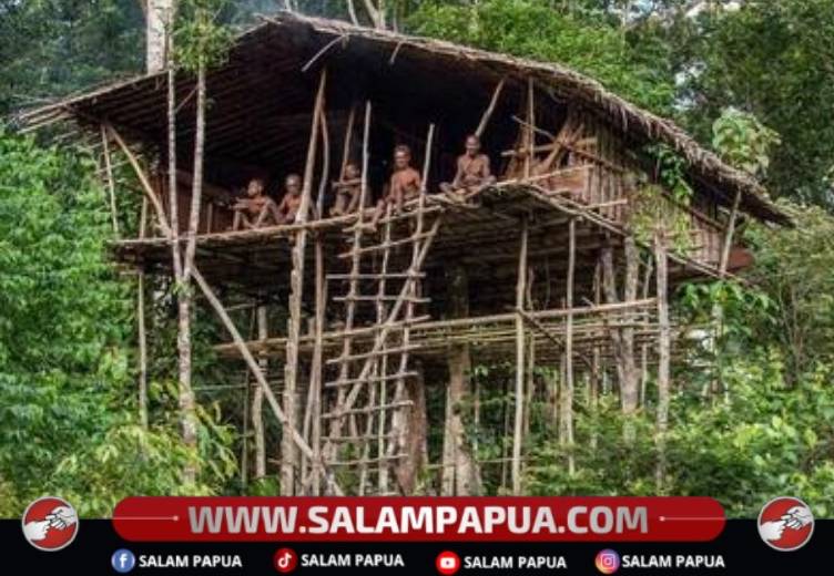 Ilustrasi rumah pohon Suku Korowai (Salampapua.com/Budaya Indonesia)