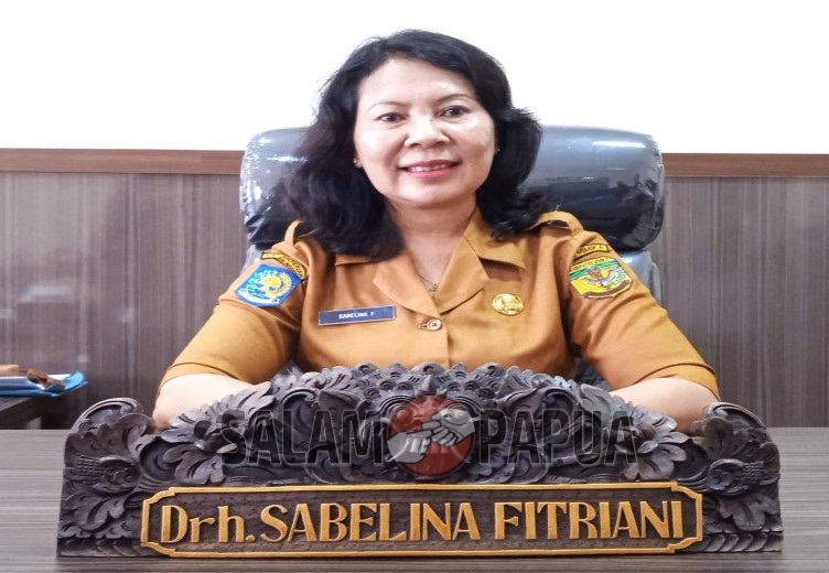 Disnak Keswan Akan Memberikan Bantuan Ayam Ternak Dan Telur Ayam Untuk Penanganan Stunting Di Mimika