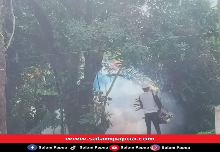 Dinkes Mimika Selalu Antisipasi Peningkatan Kasus DBD Dengan Melakukan Fogging