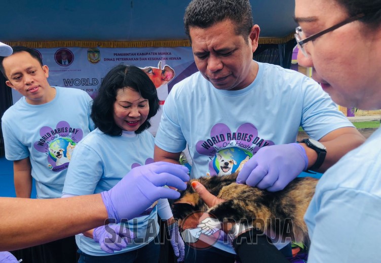 Disnak Keswan Mimika Gelar Penyuntikan Gratis Vaksin Rabies Ke Hewan Peliharaan Masyarakat