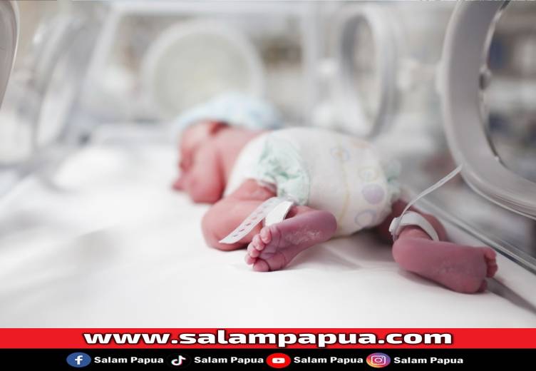 Mengejutkan, Bayi Prematur Ditemukan Di Tempat Sampah RSUD Mimika