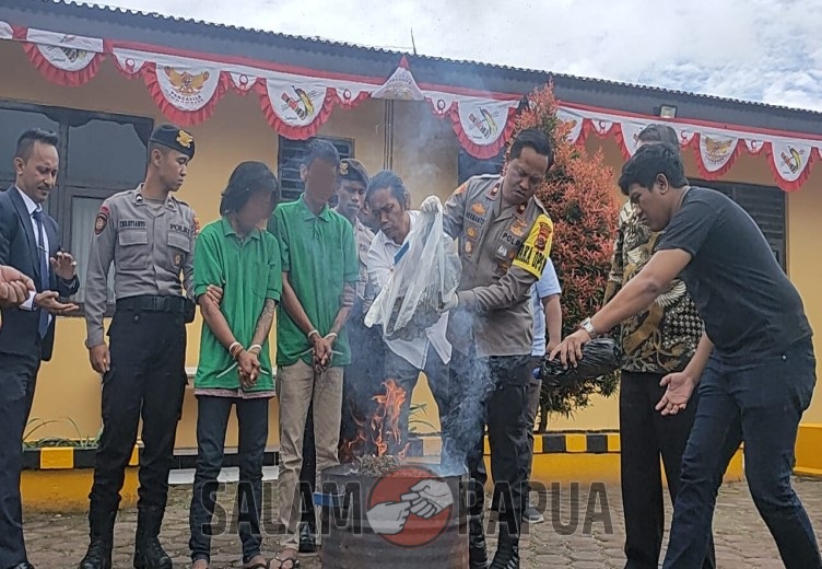POLRES MIMIKA MUSNAHKAN 2745,37 KG GANJA YANG DIPASOK DARI JAYAPURA OLEH DUA TERSANGKA